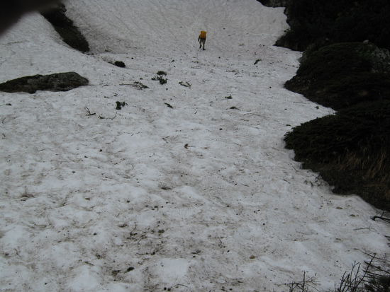 Der Weg zur Wasserquelle