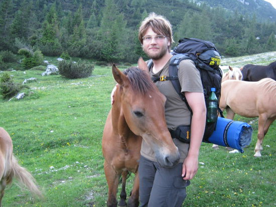 Pferde ! Da lief ne ganze Herde uneingezäunt, weit weg vom menschlichen Leben frei herum. Toll !