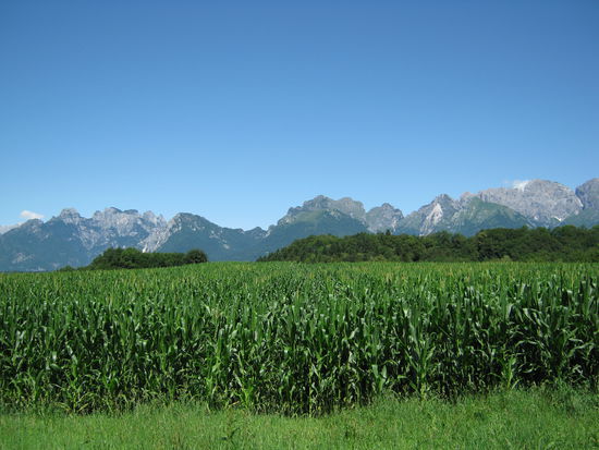 Belluno und die Dolomiten rücken immer weiter in die Ferne