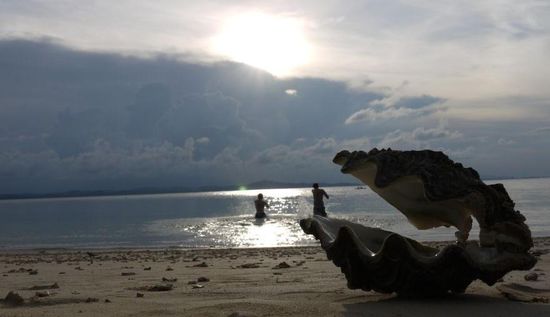 Wir und unser Hermann (die Muschel)