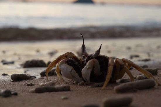 Krebs Herbert beim Essen