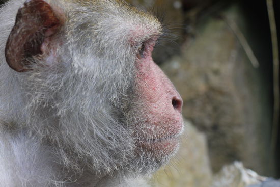 Und ich hab kein Tele-Objektiv 