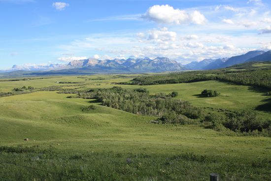Auf den Weg Richtung Waterton Lakes NP