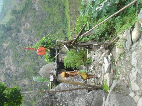 Sadhu auf dem Weg nach... naja, wahrscheinlich an irgendeinen Pilgerort im Norden.