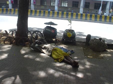 In Mumbai kann man es sich anscheinend ueberall gemuetlich machen!