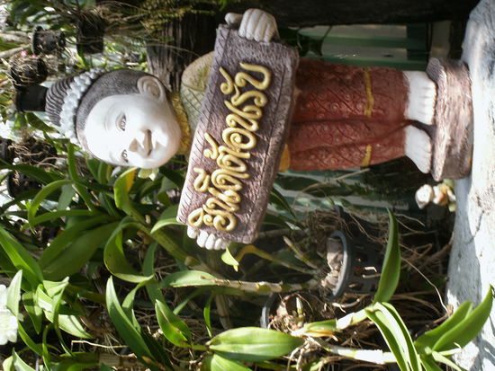 So wird man doch gerne geleitet...