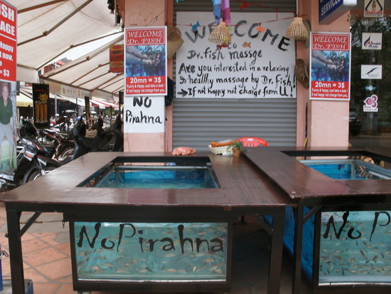 HAHA... das ist ein Becken, wo man seine Fuesse hineinhaelt und dann knabbern die kleinen Fische den Touristen ihre ekelig-verhornten Fuesse vom vielen Laufen wieder zart und geschmeidig! Sehr verwunderlich, dass es Spezies gibt, die sich gerne von Hornhaut menschlicher Fuesse ernaehren. BAEH!