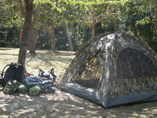 Heim fuer eine Nacht incl. Affenattacke