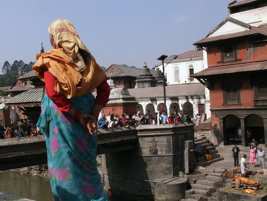 man achte auf die Fruehlingsrolle in Orange (oh wie pietaetlos)...