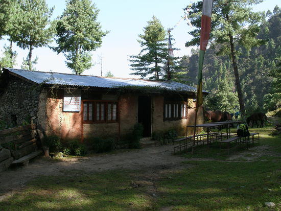 erster Hot Lemon im Teehouse am ersten Tag von Dunche nach Thule Syabru.