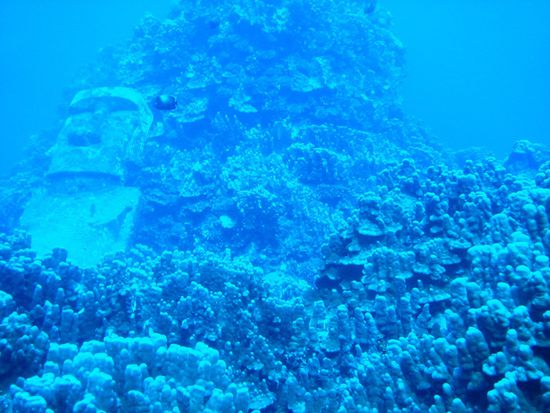 Dieser Moai liegt auf 20 bis 24 Meter tiefe