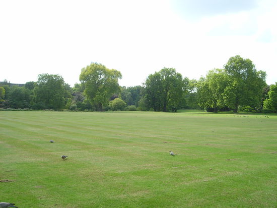 im kleinen Schrebergarten geht die Queen gern mit ihren Kötern Gassi!
