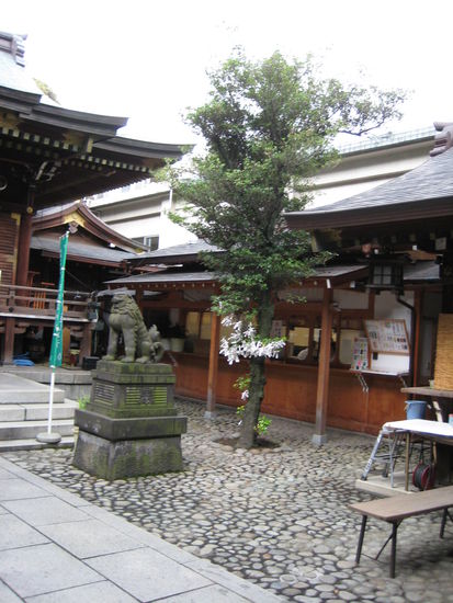 im Innenhof des Tempels