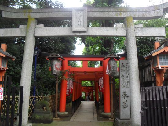 ein längerer Tori-Gang im Park auf dem Weg zu einem weiteren Tempel
