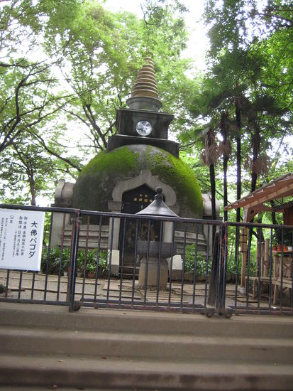 ich hab leider keine Ahnung, was das ist, aber es sieht gut aus 