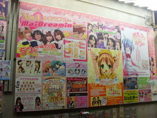 noch ein gewohnter Anblick in Akihabara. Werbung für die unzähligen Maid-Cafés, in denen man sich von nett verkleideten Mädels bedienen und verwöhnen lassen kann.. für die Mädels gibt es dann: