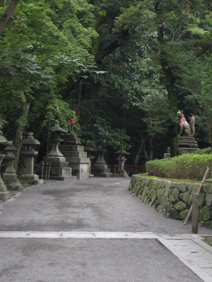 Der Weg ins Verderben beginnt....