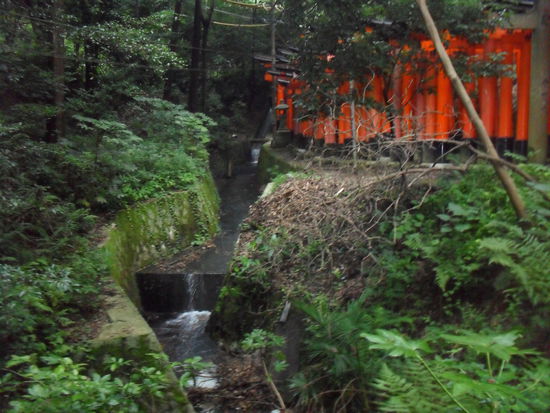 ja... und weiter geht es...