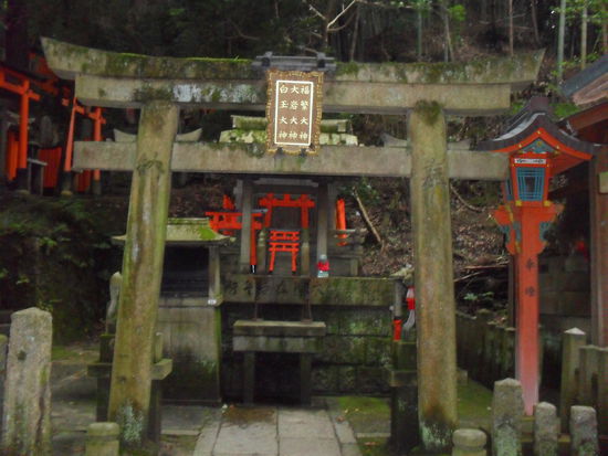 Irgendwann auf dem Weg kommen viele kleine Schreine... alle mit weiteren kleinen Tori, damit man nicht vergisst, wie sie denn nun ausgesehen haben...