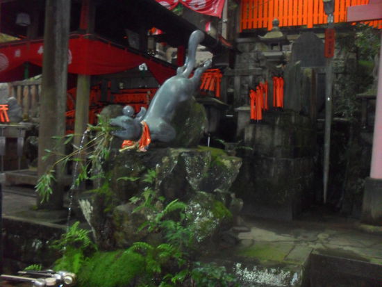 und auch mal ein interessanter Fuchs-Speier