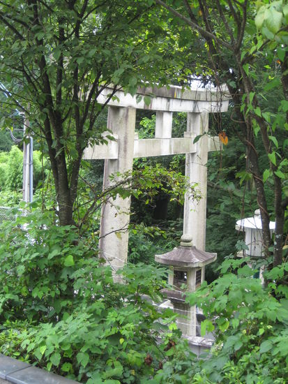 So ein Tori wird mit der Zeit auch nichts besonderes mehr... man sieht sie einfachzu oft in der Gegend. Was aber nicht heißt, dass sie nicht trotzdem schön sind 