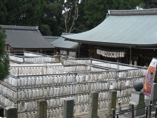 Das sind mal viele Laternen!