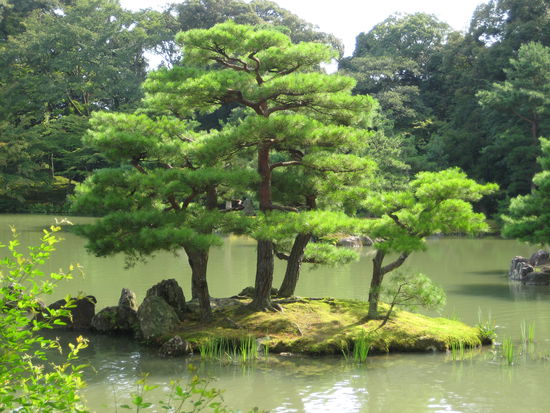 ein weiteres Patricia Bild 