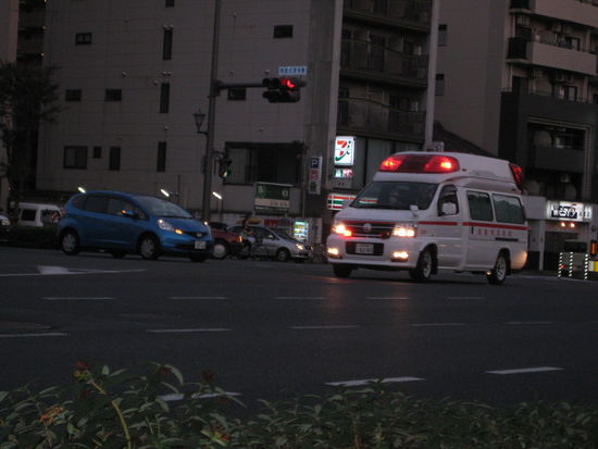 Ob Polizei, Krankenwagen oder Feuerwehr... mit Licht und Sirene an fahren sie trotzdem nicht schneller als max. 30 km/h ... erstaunlich, dass sie es trotzdem irgendwann ans Ziel schaffen