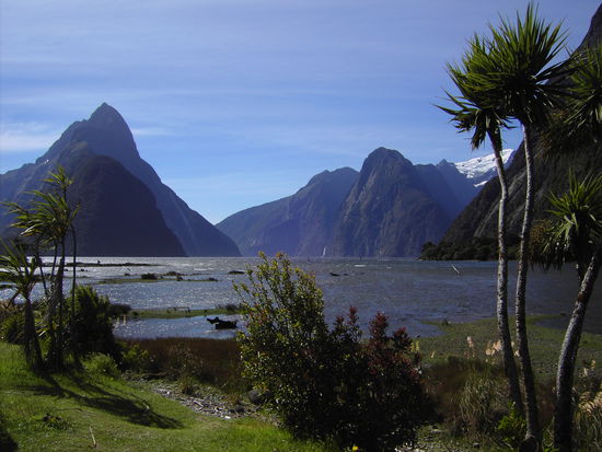 Blick auf den Milford Sound