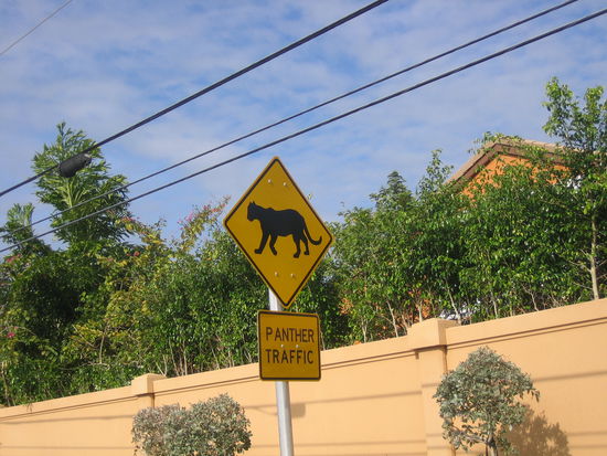 Auf der Strecke durch die Everglades