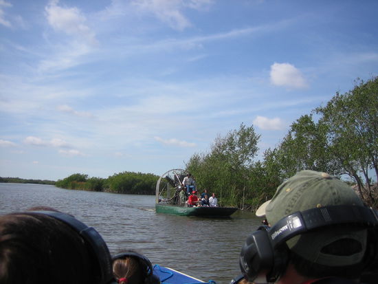 Airboat Tour