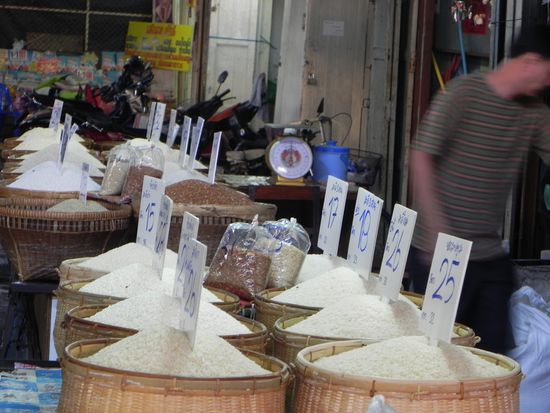 Reis, Reis und nochmal Reis