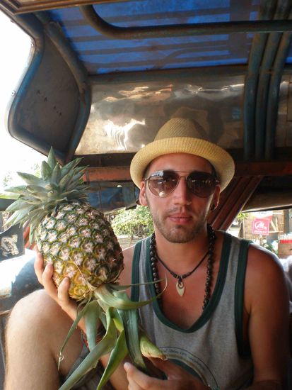 Reisebegleitung - eine Menge an Ananas