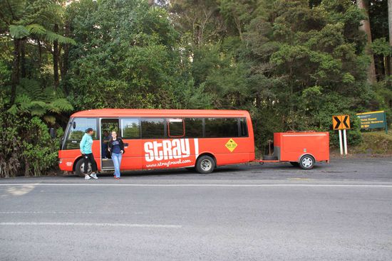 mit dem Stray-Bus unterwegs