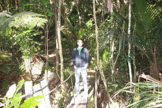 auf zum Aussichtspunkt...