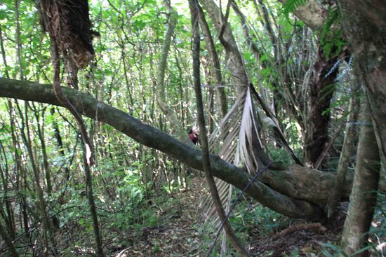 ... auf solchen "Pfaden"