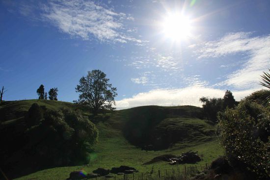 in der Naehe der Waitomo Caves