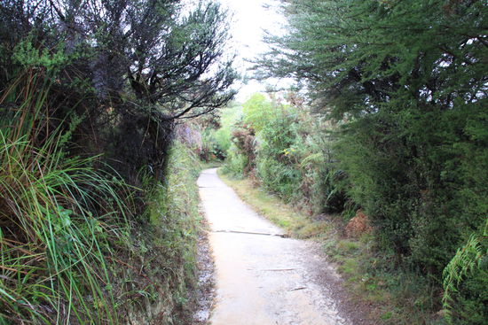 der Weg durch den NP