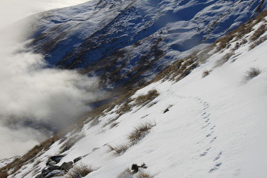 meine Spur auf den Ben Lomond
