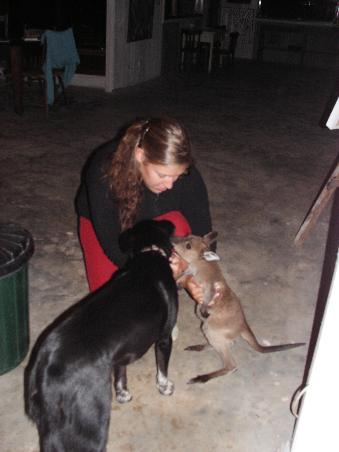 Willow und Ranger
