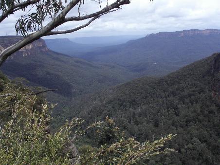 Blue Mountains : wegen dem blauen Nebel ueber den Waeldern, dieser entsteht durch die Oele der Eukalyptusbaeume...bei besserem Wetter auch besser zu sehen!