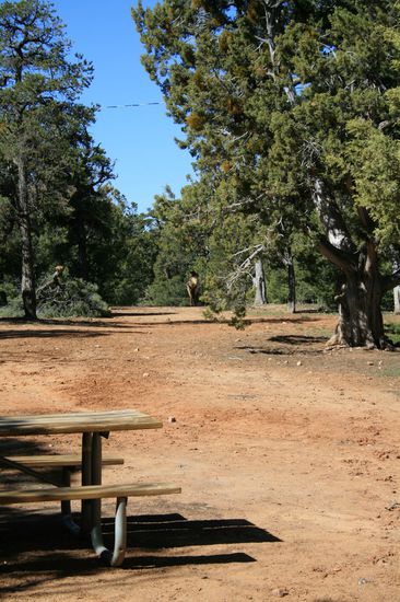 Ein Suchbild in unserem "Vorgarten"[/k]