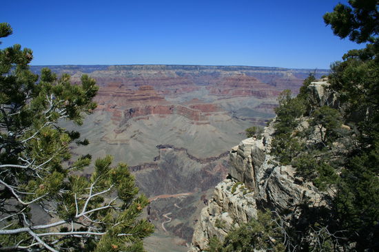 Und in 7.400 ft. / 2.260 m Höhe gibts sogar ein wenig grün