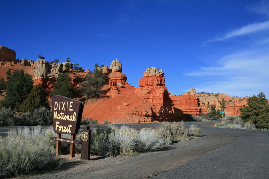Dixie National Forest, der Beginn des Red Canyons.