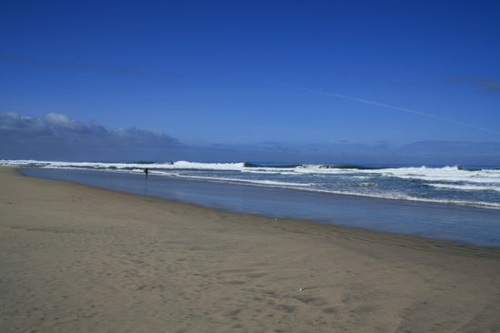 Strand von Moss Landing