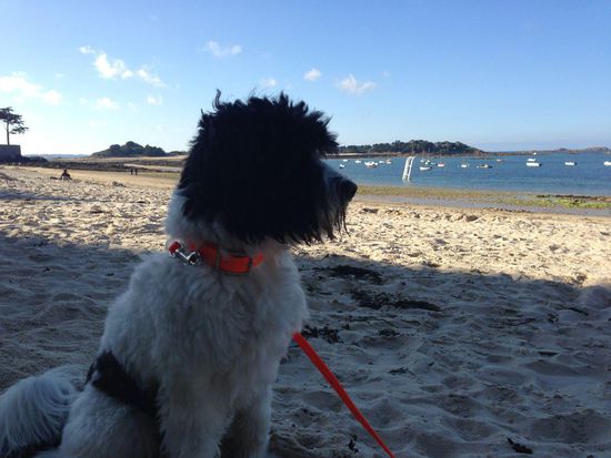 Baywatch war gestern