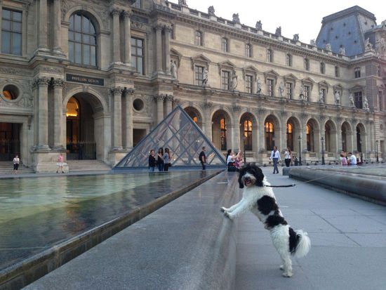Der "Chef" am Louvre.