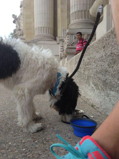 Fürstlich dinieren...