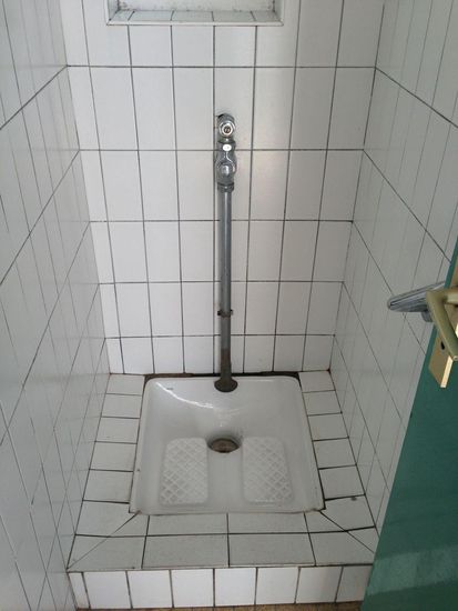 Kennt man eigentlich nur aus den asiatischen Ländern oder eben von hier noch in manchen öffentlichen Toiletten.