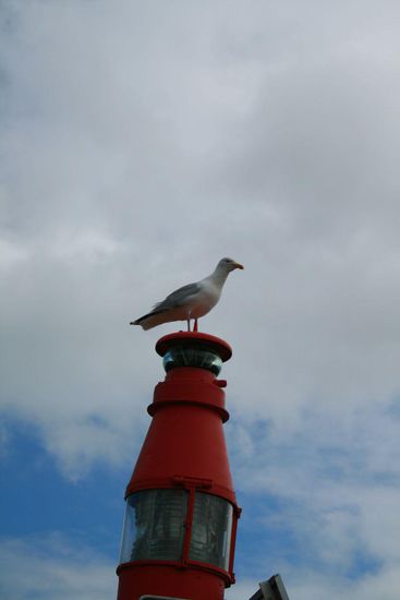 Wir kommen wieder, bis dahin halten wir die Augen offen...
